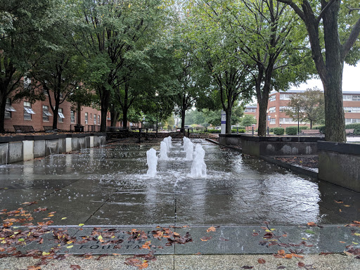 Drain Bros llc shows how small changes in a plaza can signal hidden sewer line problems before they become big issues.