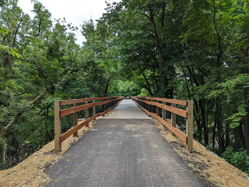 Drain Bros llc helps you see what’s beneath the surface, just like a straight, clear path through a forest.